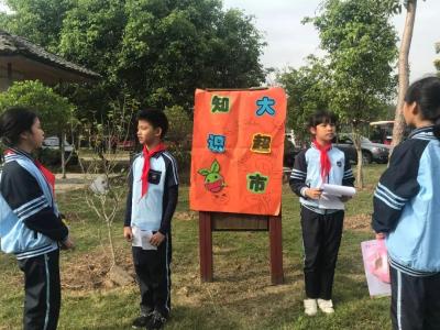 如何入驻淘宝教育,电商的培训课有效果吗