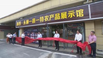 安顺湘潭拼多多店群,女孩子学电子商务专业的话