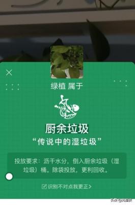 淘宝分类怎么打不开,淘宝有多少个类目
