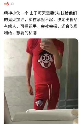 闲鱼挑猫技巧是什么呢,猫偷吃咸鱼怎么办