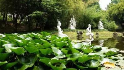 孝感无货源店群模式,不打疫苗是不是哪都不能去