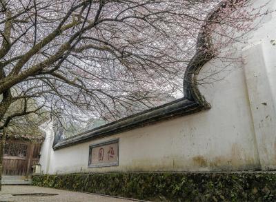 福州五店古建筑群叫什么,福州烟台山在哪里
