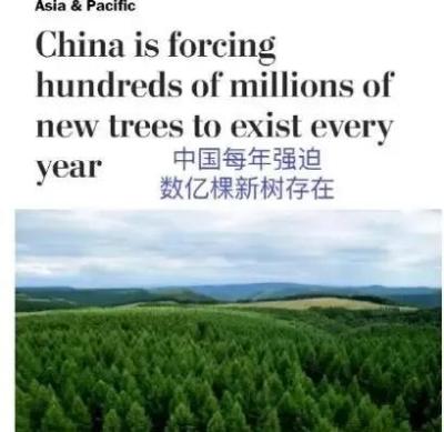 淘宝种树的大米有多少斤,3米乘4米一亩地栽树多少棵