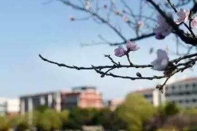 淘宝乐活季什么商品有活动,能真正读懂老子的前提条件是什么