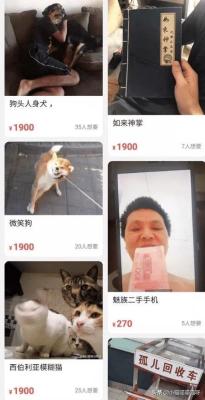 闲鱼的应用浏览在哪里,上架的东西一直没人看