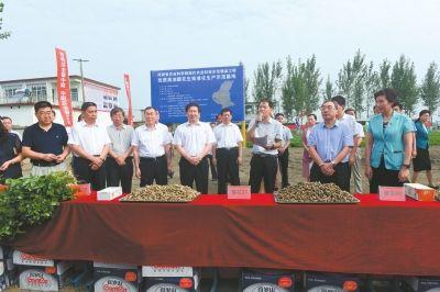 淘宝正阳数码回收怎么样,东莞什么厂女孩子比较多