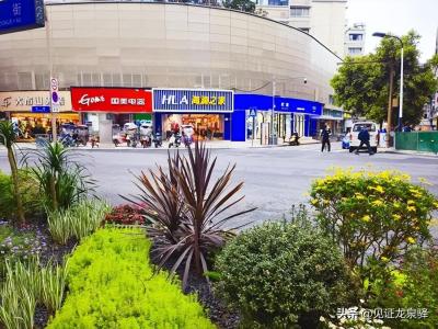 淘宝店招如何插入链接,阿里巴巴店铺装修教程