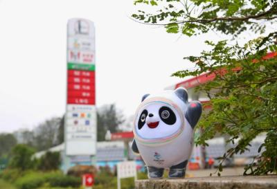 淘宝冬奥预售商品在哪里,女运动员需要滑行多少米