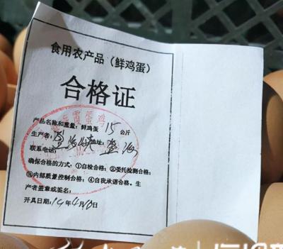 淘宝签到领鸡蛋哪里进去,支付宝又发钱啦