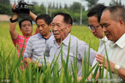 登录淘宝之后我要卖在哪里,淘宝过户后怎么登录