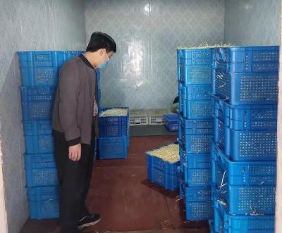 直通车如何突破店铺,拼多多怎么开直通车