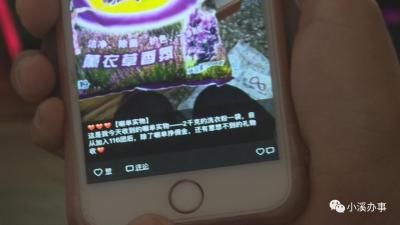 淘宝里如何查找店主,淘宝中在哪里查看我的分销商