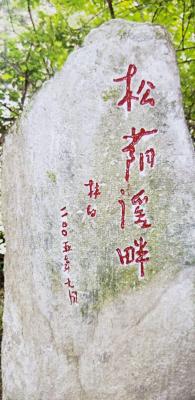 自己建云集微店群,有哪些靠谱的小说排行榜