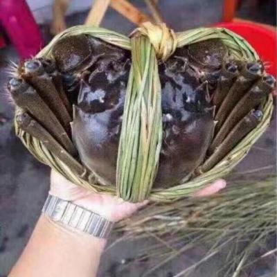 淘宝卖什么大利润,却是利润很高的行业