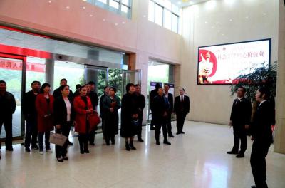 化验报告单掉了还能补吗,新挖的鱼塘死鱼了怎么办