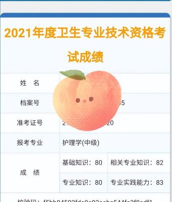 怎么补打去年的护师成绩单,往年护师成绩还可以查询吗