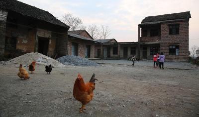 淘宝查找相似有什么好处,请问被淘宝刷单骗钱了