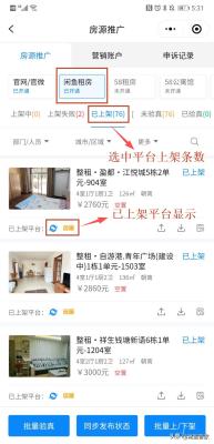 闲鱼端口在哪里开通手机,有没有用手机每天做任务赚钱的app