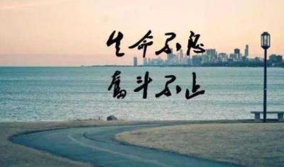 淘宝如何删除商品解说,淘宝企业店注销营业执照流程