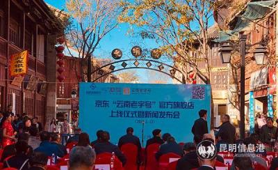 淘宝企业店铺官方店在哪里,公司名下的淘宝店铺查询