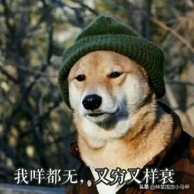 淘宝卖家注册要什么手续,注册公司开网店需要多少资金