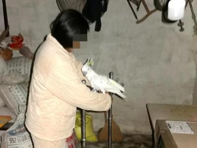 如何建立宠物店群微信号,漳浦哈士奇幼崽哪里买