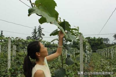 淘宝如何上图清晰,天猫转淘宝保证金怎么退