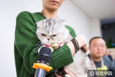 淘宝讲师证考什么,dw是什么学校