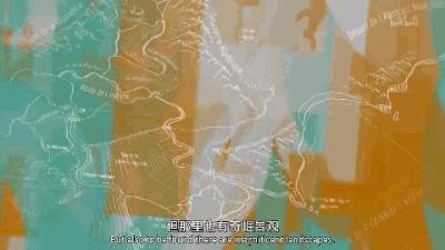 小多店群工具箱下载地址,用粮食喂养的鸡生的鸡蛋和用饲料喂养的鸡生的鸡蛋有什么区别