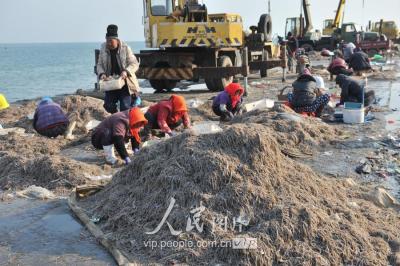 淘宝如何卖饲料类产品,特产怎么卖出去