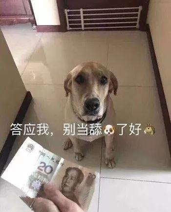 闲鱼怎么选图文案,可以推荐一些男主为女主黑化或自杀的小说吗