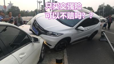 车辆强险单丢了能补吗,如果交强险和车船税的单子没有了怎么办