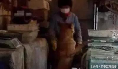 淘宝掌柜助手哪里找,目前哪些行业最值得投资