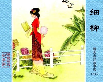 怎么样删除淘宝关注的人,从淘宝买的多肉怎么种