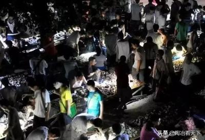 为什么闲鱼圈友不显示全部,剧情都有硬伤却依然有那么多人喜欢