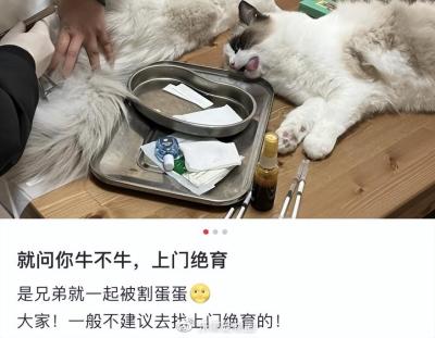 闲鱼上门是什么快递,可以自己到快递公司发货吗