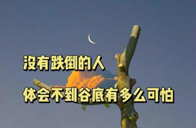 闲鱼无语评论怎么删掉,你听过哪些怼人的语录