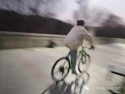 闲鱼大狗子什么意思,在闲鱼购买了300元左右的哈士奇柴犬柯基是一种怎样的体验