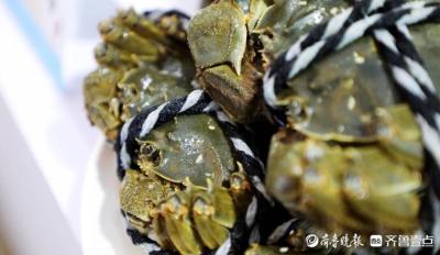 淘宝上大闸蟹如何发布宝贝,淘宝上哪个店的阳澄湖大闸蟹最正宗