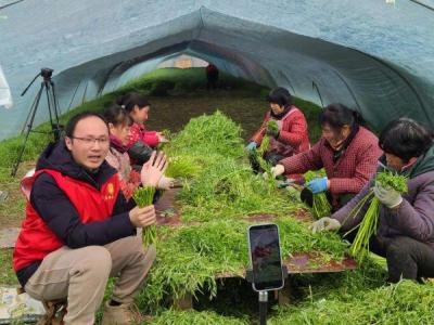达人怎么给新店带货推广,小红书达人推广带货能力怎么样