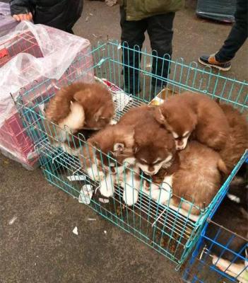 为什么闲鱼不寄快递,闲鱼买家要求发京东快递