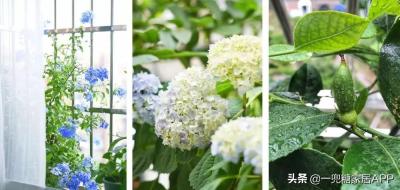 淘宝店铺如何调回基础版,卖家说是系统问题价格错了