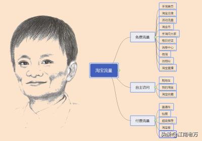 做淘宝的卖家如何引流,淘宝里的推广引流团队可信吗