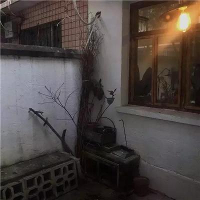 成都小红书博主探店群,为什么抖音人均劳斯莱斯