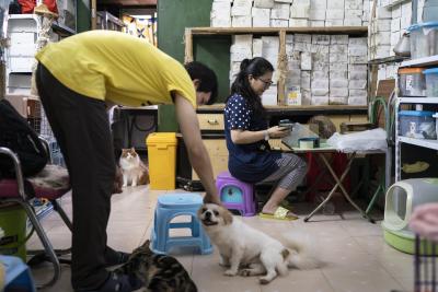 淘宝店铺如何点关注,淘宝怎么关注不了店铺