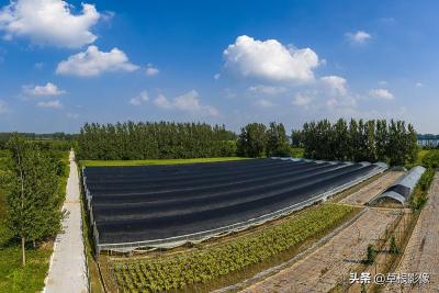 淘宝种水果多少肥料,蔬菜水果怎么发酵成肥料