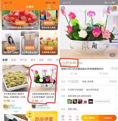 闲鱼闲鱼币在哪里查看,咸鱼之王知识币有什么用