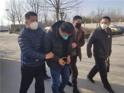 在临沂淘宝开店卖什么,江浙沪包邮区伙伴们想对它说点啥