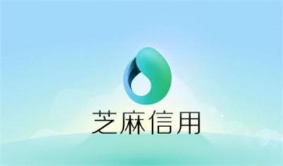 淘宝卖家要多少等级开花呗,蚂蚁借呗多少分可以开通