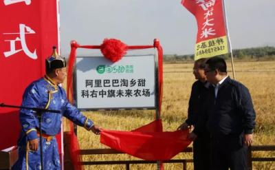 什么基金可以投资淘宝,我支付宝突然多了149块钱